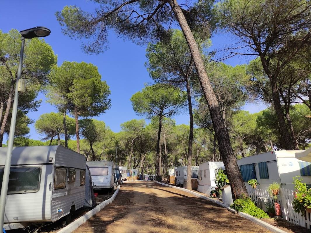 Camping Dehesa Nueva — Campingplatz in Isla Mayor / Andalucía