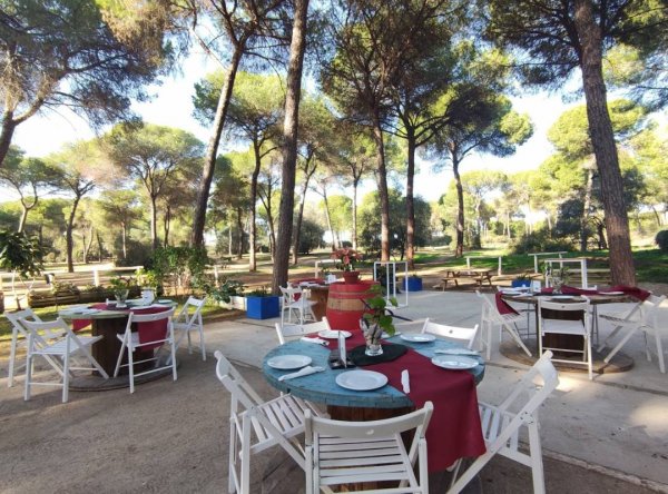 Camping Dehesa Nueva — Photo 2