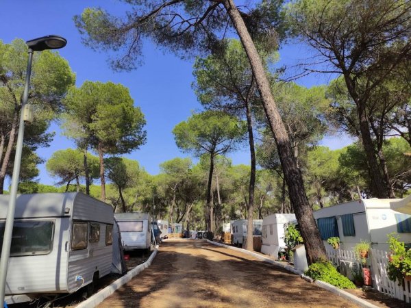 Camping Dehesa Nueva — Foto 3