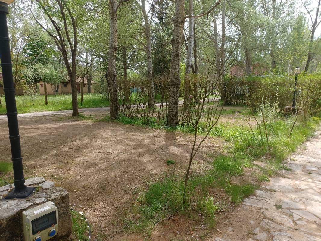 Camping Cañón del Río Lobos — Sítio de acampamento in Ucero / Castilla y León