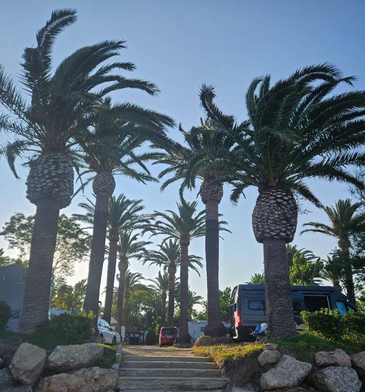 Playa Montroig Camping Resort ***** — Kamp yeri in Mont-Roig