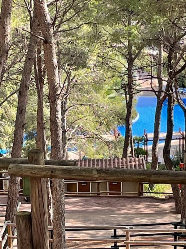 Camping Torre de la Mora — Campingplatz in Tarragona / Cataluña