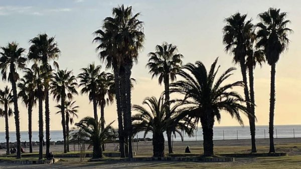 Camping Joan Bungalow Park — Photo 3