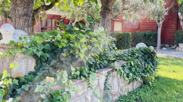 Camping Joan Bungalow Park — Photo 6