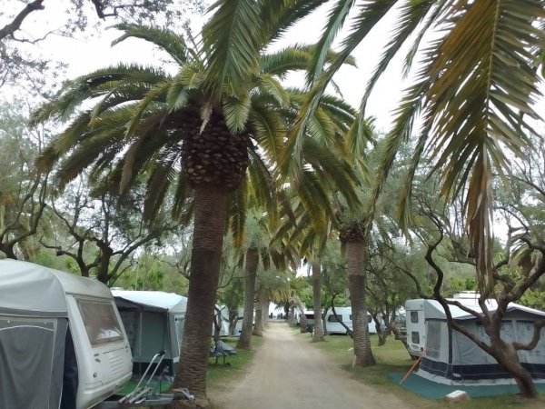 Camping La Torre del Sol — Foto 5