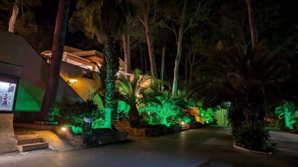Camping La Torre del Sol — Foto 2