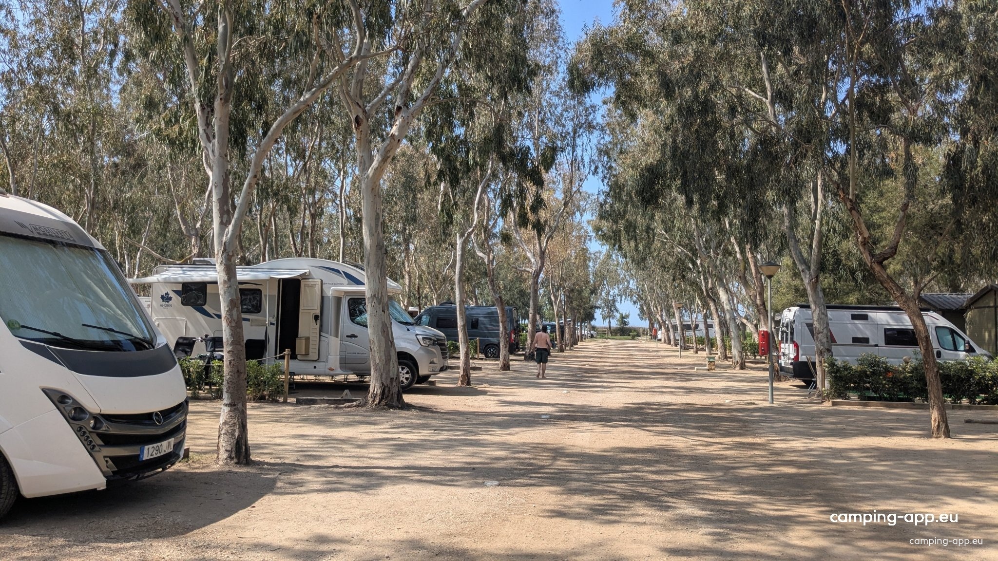 Camping Eucaliptus Parc Natural Delta de I'Ebre — Cámping in L'Eucaliptus