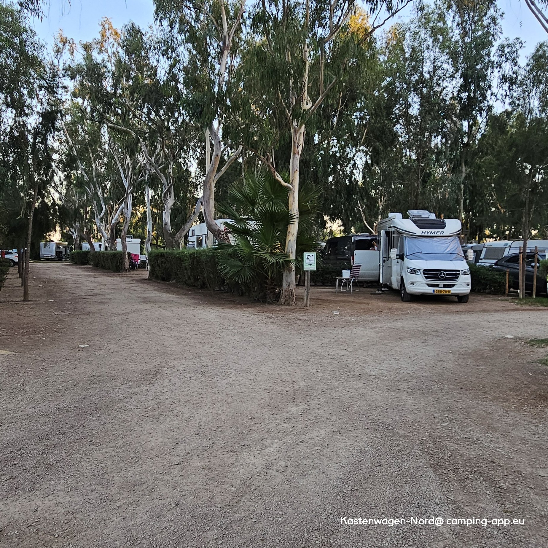 Camping Eucaliptus Parc Natural Delta de I'Ebre