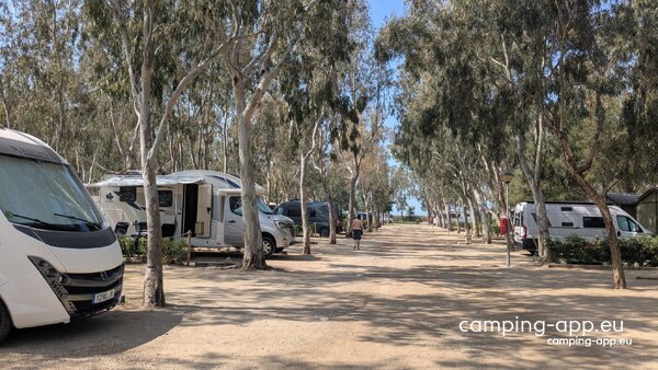 Camping Eucaliptus Parc Natural Delta de I'Ebre