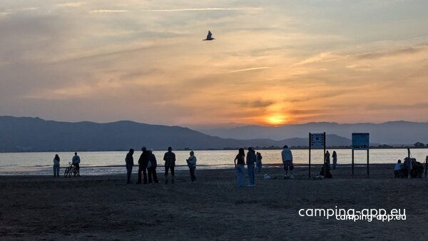 Camping Eucaliptus Parc Natural Delta de I'Ebre — Foto 5