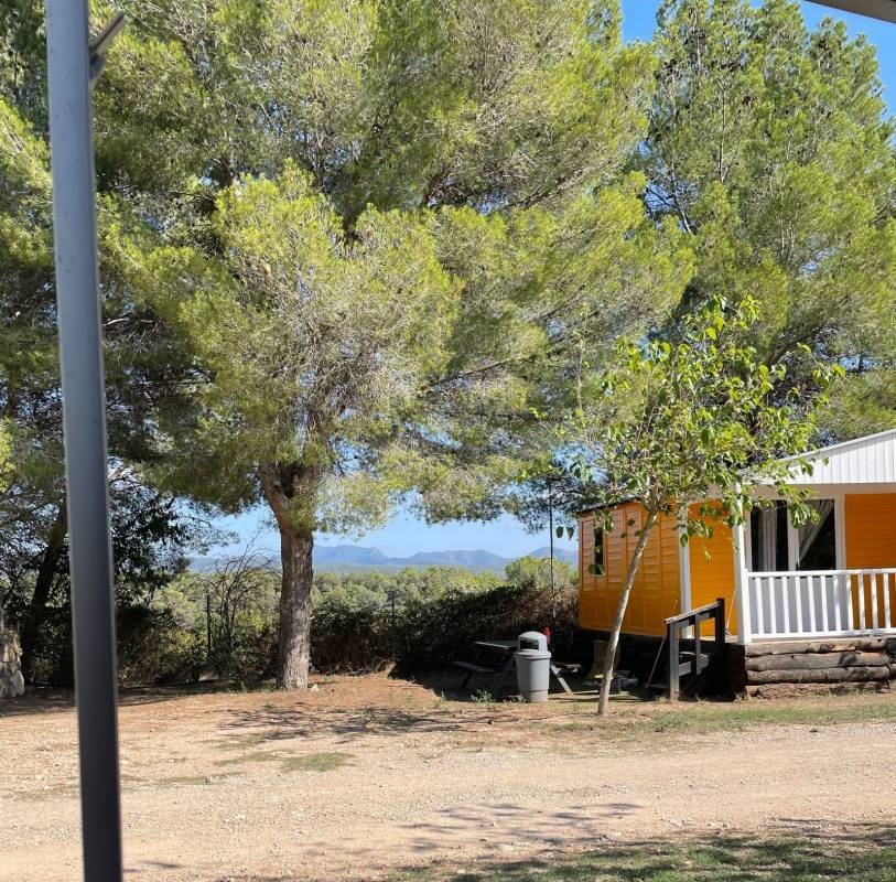 Camping Santes Creus — Campingplads in Aiguamúrcia / Catalunya