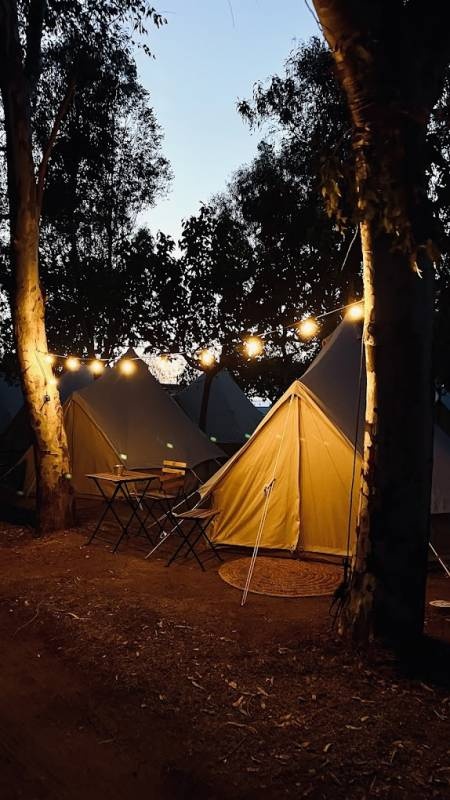 Camping Delta Natura La Tancada — Campingplatz in Amposta / Cataluña