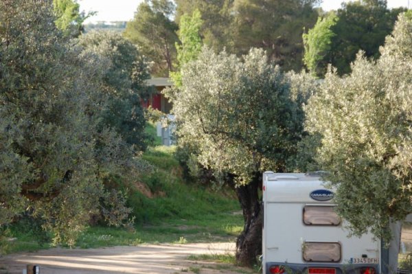 Càmping TERRA ALTA — Photo 4