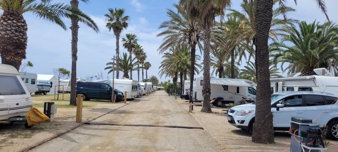 Camping Gavina Creixell — Kemp in Creixell / Catalunya