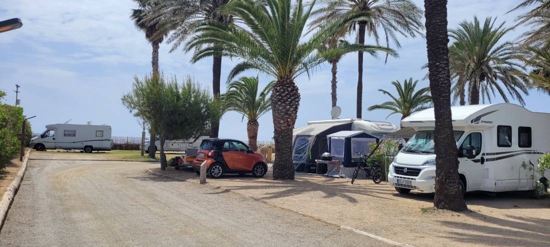 Camping Gavina Creixell — Campingplatz in Creixell / Catalunya
