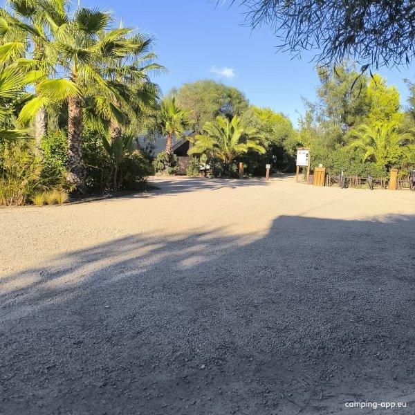 Camping Gavina Creixell — Fotografie 2