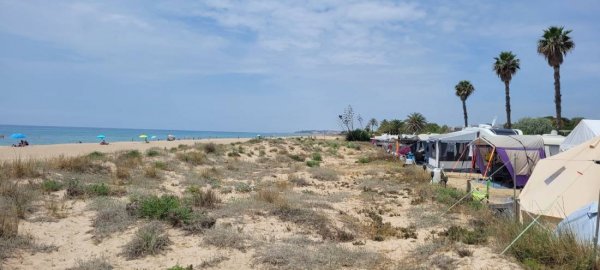 Camping Gavina Creixell — Photo 3