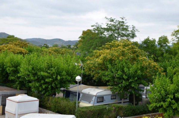 Camping Sirena Dorada