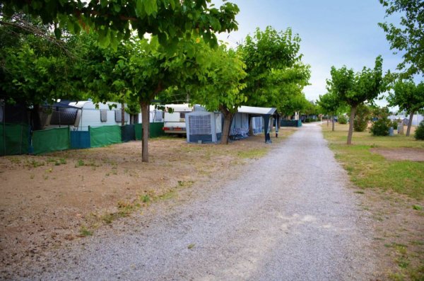 Camping Sirena Dorada — Photo 2