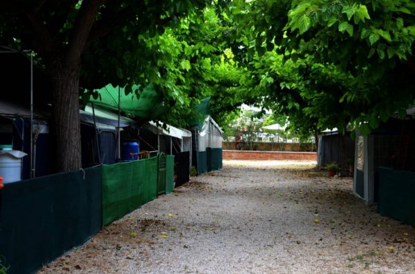 Camping Sirena Dorada — Photo 3