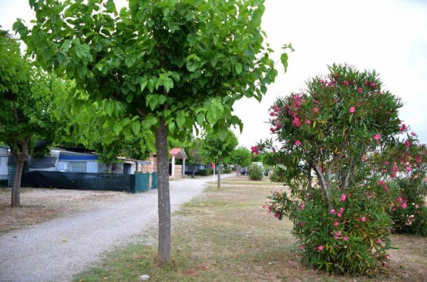 Camping Sirena Dorada — Photo 4