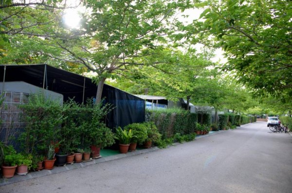 Camping Sirena Dorada — Photo 5