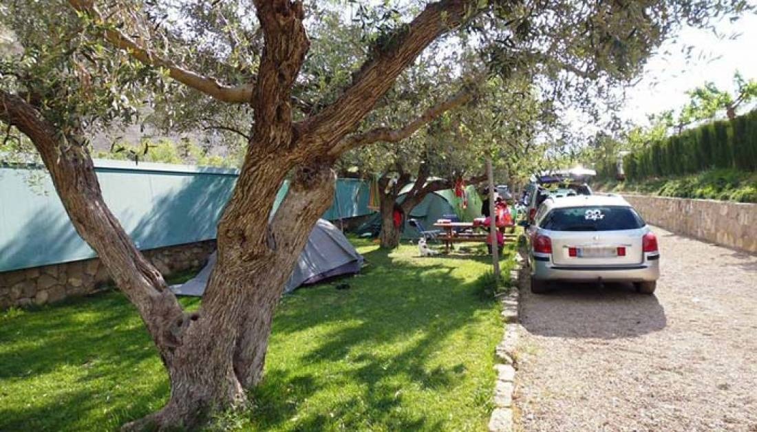 Camping Port Massaluca — Campingplats in La Pobla de Massaluca / Catalunya