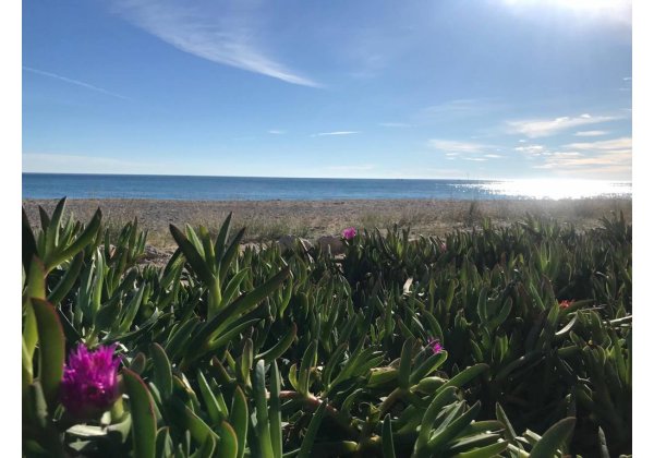 Camping Cala D'Oques — Photo 2