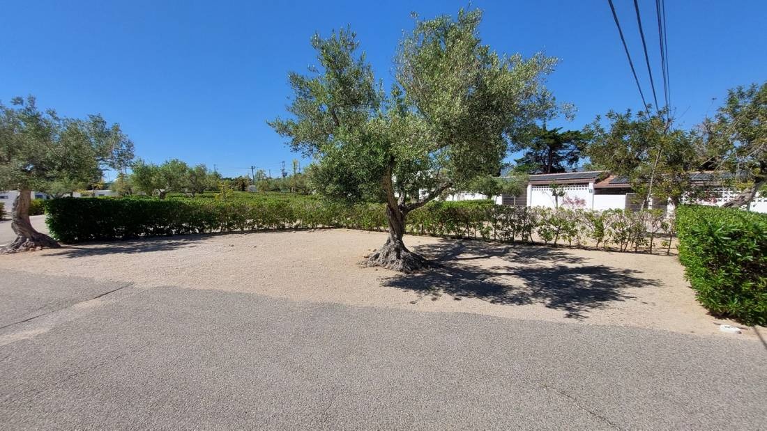Càmping Nàutic — Camping Site in L'Ametlla de Mar