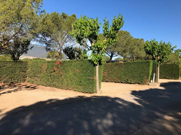 Camping Montblanc Park Capfun — Photo 2