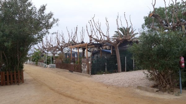 Camping Miramar — Photo 2