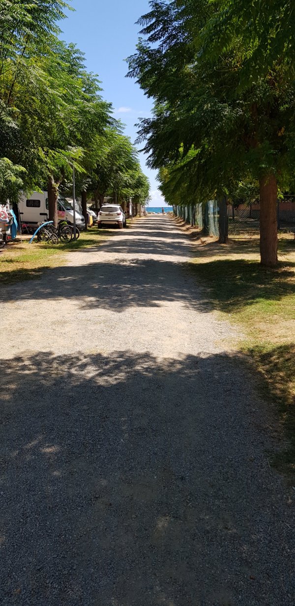 Camping Playa y Fiesta — Фото 3