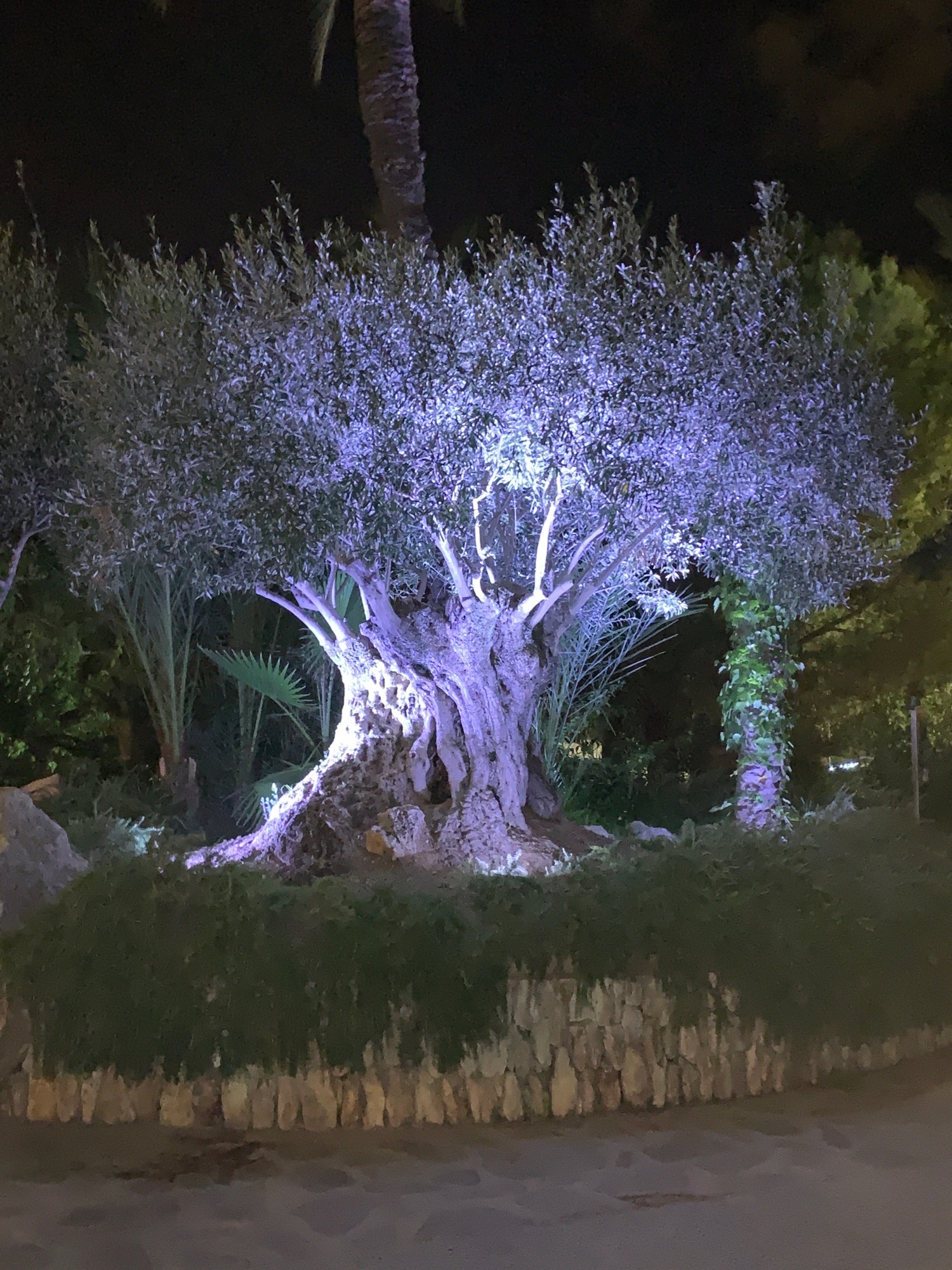 Park Playa Barà — Kemp in Roda de Berà / Cataluña