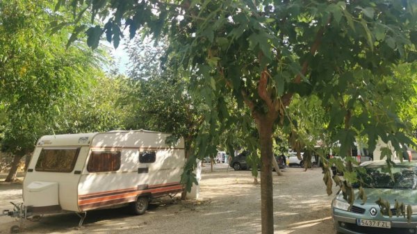 Camping Platja Llarga — Photo 2