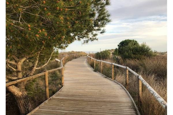 Camping Relax Sol — Campingplads in Torredembarra / Catalunya