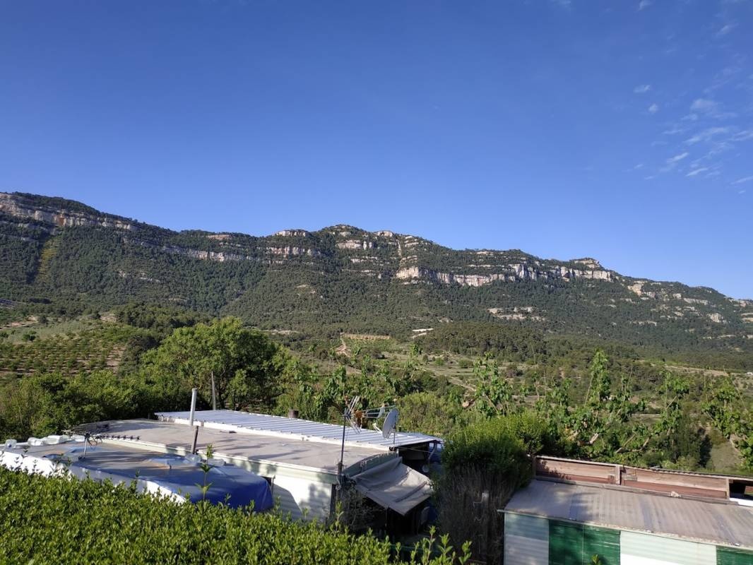 Camping Montsant Park — Campingplats in Ulldemolins / Cataluña
