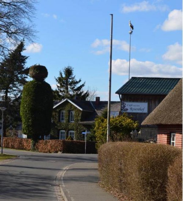 Rosenhof-Hohn — Photo 3