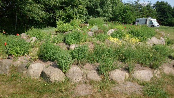 Rosenhof-Hohn — Photo 4