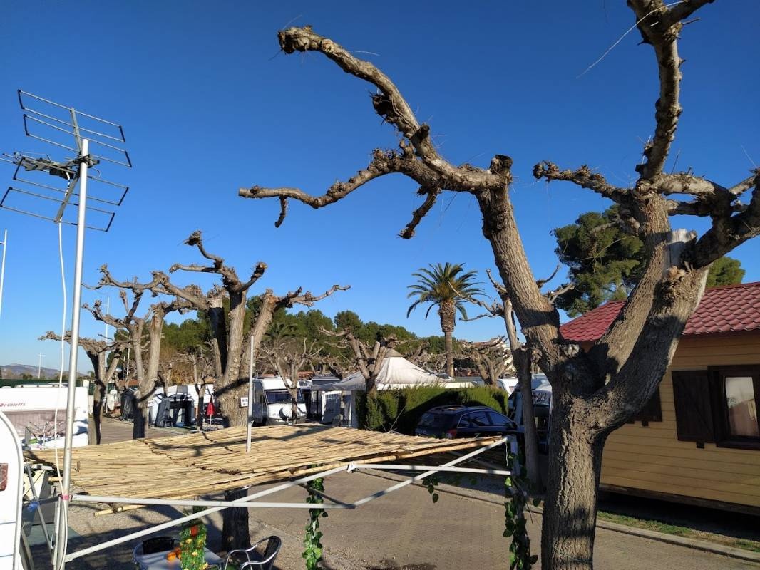 Camping L'Alqueria — Місце для кемпінгу in Gandia / Comunidad Valenciana