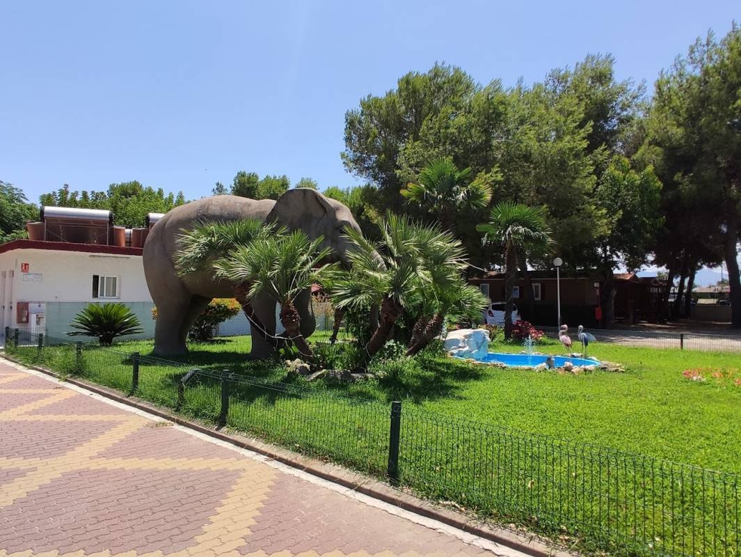 Camping L'Alqueria — Campingplatz in Gandia / Comunidad Valenciana
