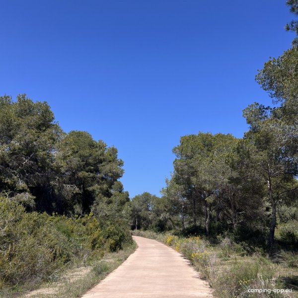 Devesa Gardens Camping & Resort — Foto 2