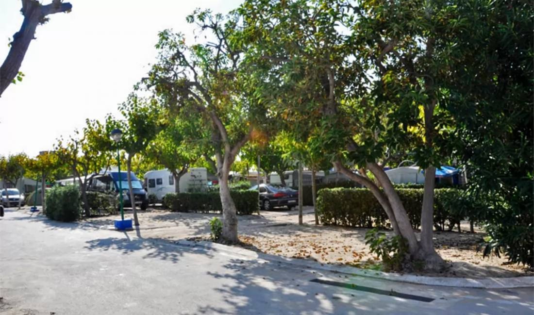 Camping Pepe · Platja d´Oliva — Campingplatz in Oliva, Valencia / Comunidad Valenciana