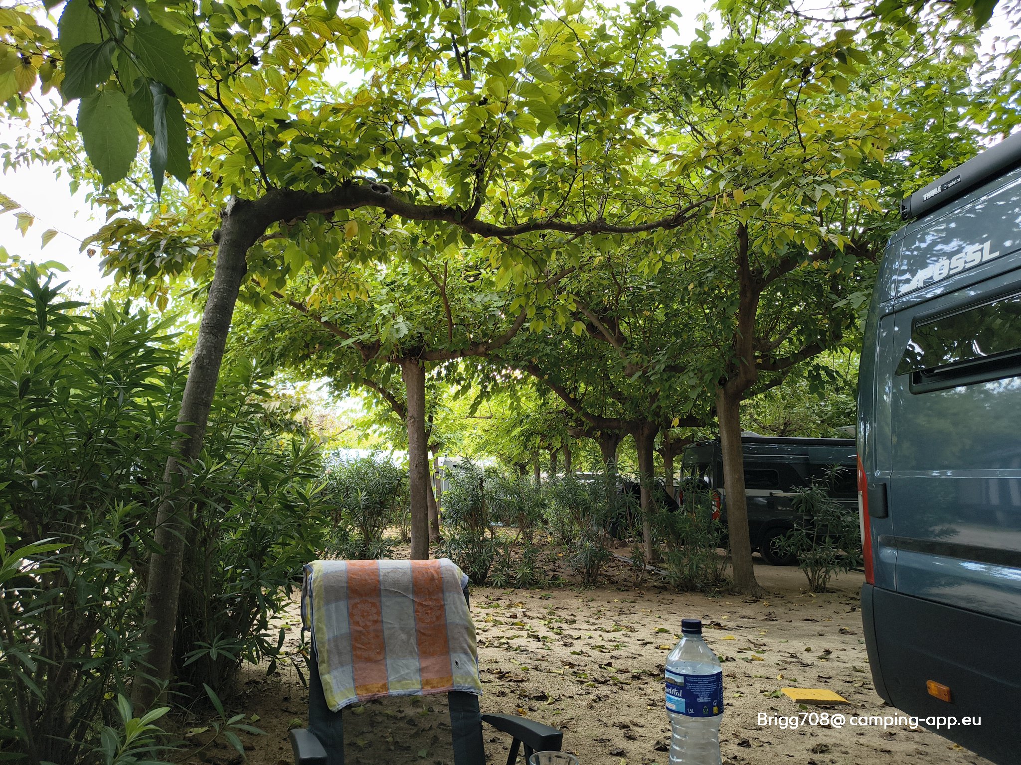 Camping Azul — Фото 2