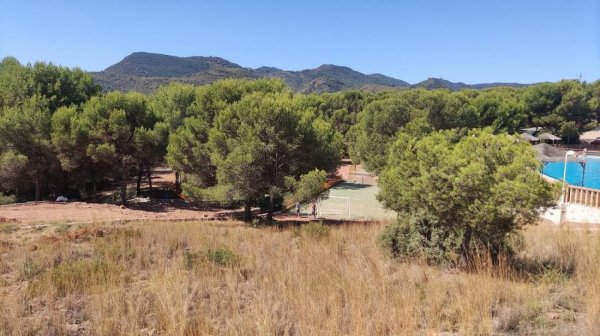 Camping Sierra Calderona