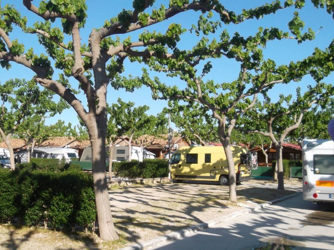Camping Coelius Complejo — Campingplatz in Miramar / Comunidad Valenciana