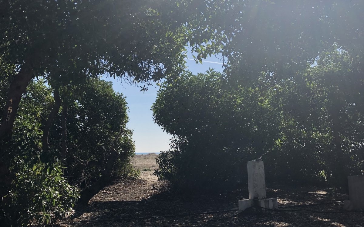 Camping Malvarrosa de Corinto — Campingplatz in Sagunt