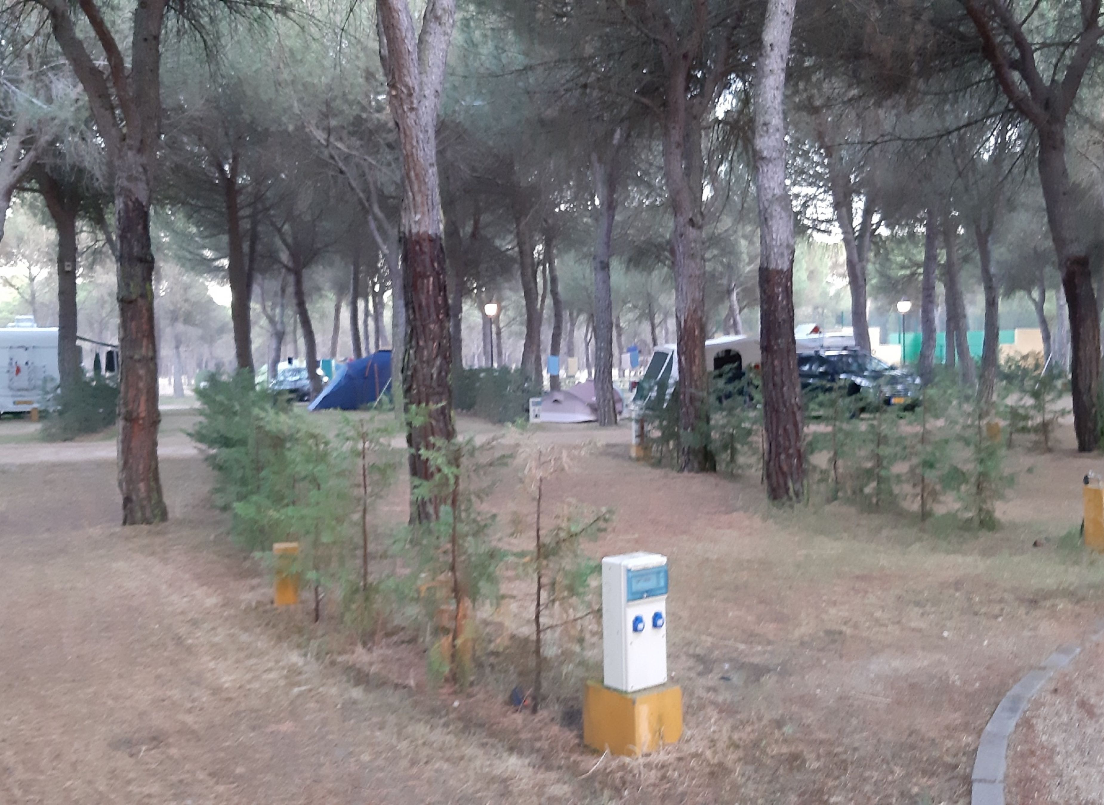 Camping Riberduero — Місце для кемпінгу in Peñafiel / Castilla y León