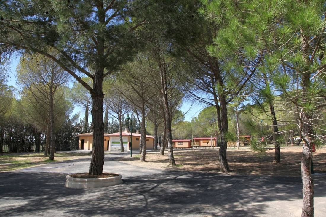 Camping Bolaso — Cámping in Ejea de los Caballeros / Aragón
