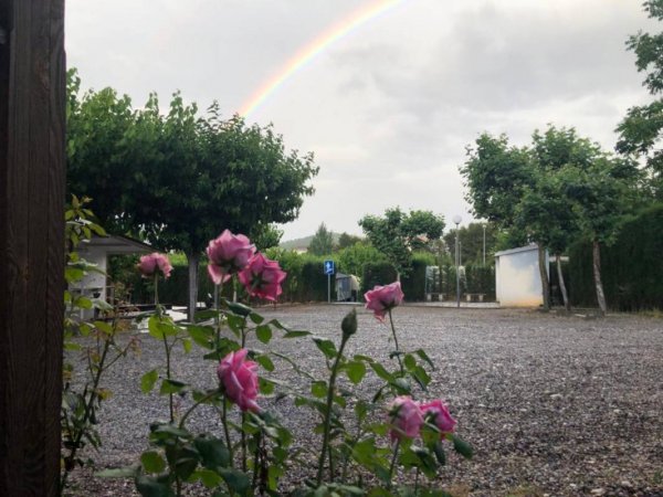 Camping Fayón Fishing