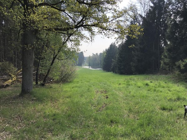 Burgschänke am Rande der Welt — Foto 4